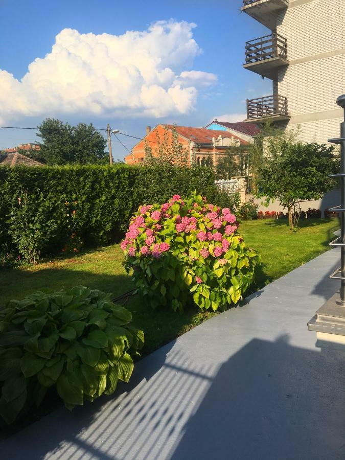 Villa Mara Golubac Εξωτερικό φωτογραφία